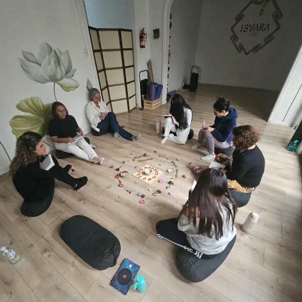 programas de transformacion